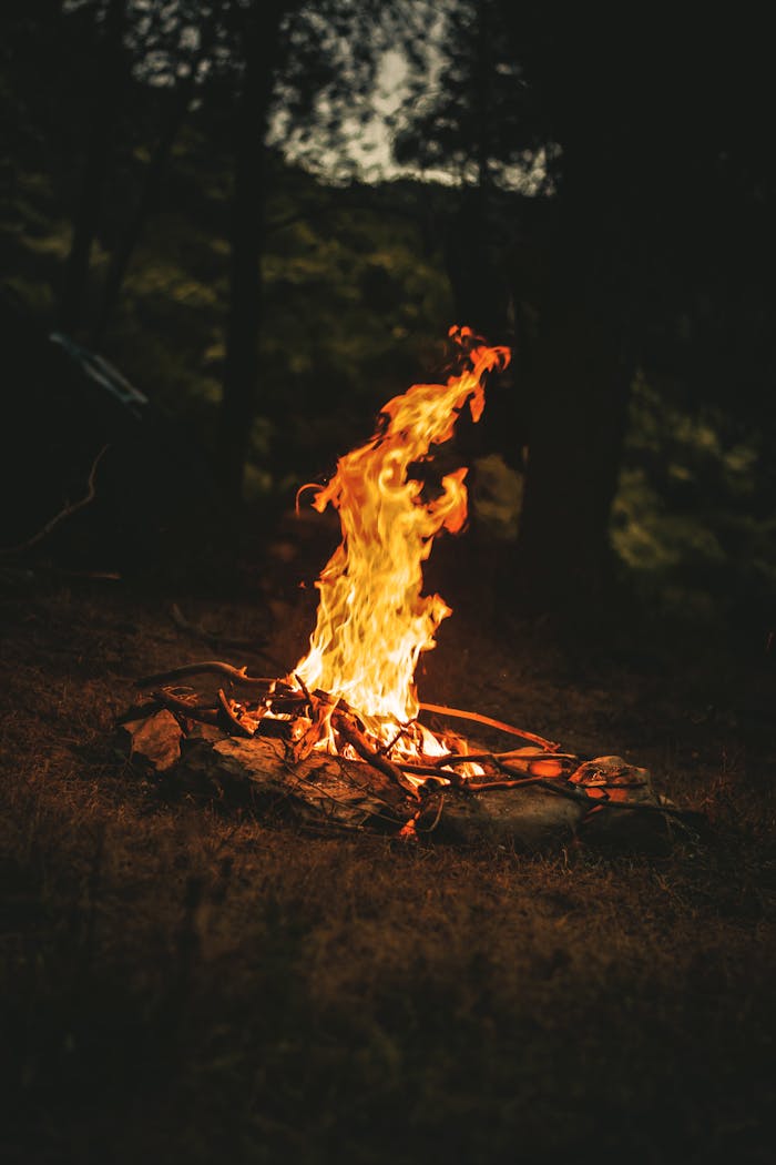 A warm campfire illuminating the night forest, perfect for camping adventures.